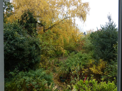 P1050375.JPG