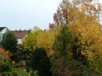 P1050376.JPG