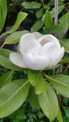 20180706_053934.jpg