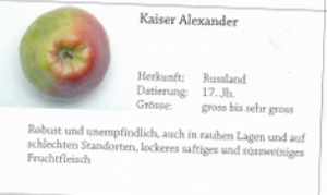 Kaiser Alexander - Rosenapfel und Goldparmäne, ProSpecieRara.jpg