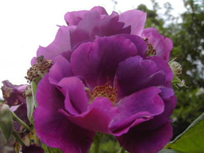 PICT1755.JPG