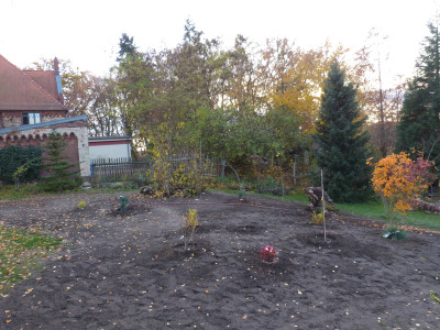 2018-11-12 Birkenhain 2.jpg