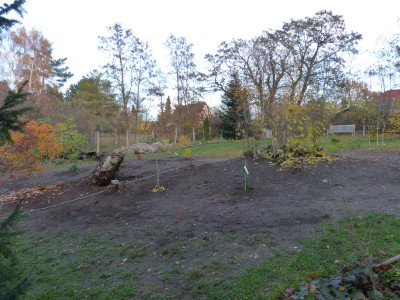 2018-11-12 Birkenhain 4.jpg