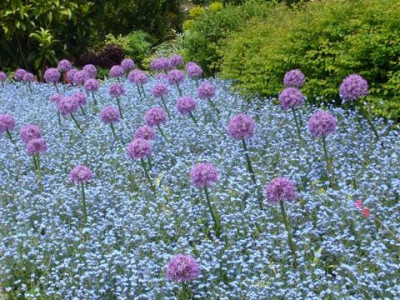 Mainau_10.05.2007.1.JPG