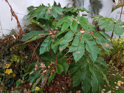 20181113_161945.jpg