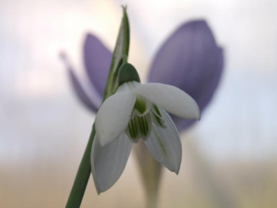 DSCF5734.JPG