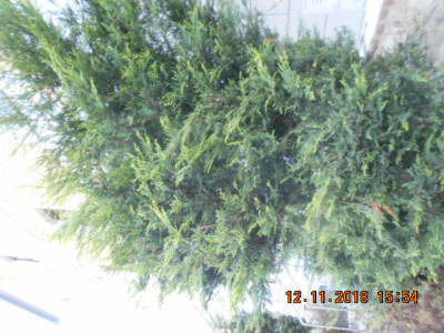 DSCN5469.jpg