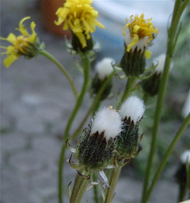 Unbekannte-KK-008.jpg