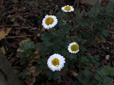 9AE6628D-D57B-41C3-BC4D-642082458ABA.jpeg