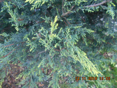 DSCN5467.jpg