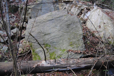 139.JPG