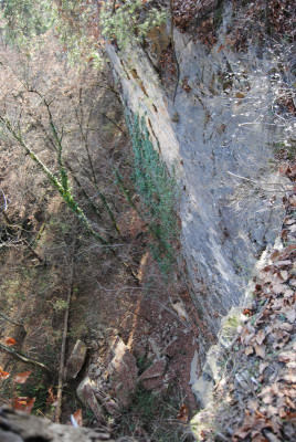 025.JPG