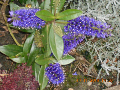 DSCN5562.jpg