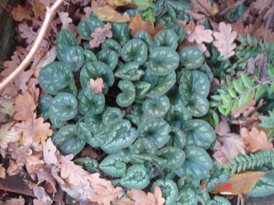 DSC05544.JPG