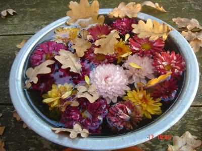 DSC05541.JPG