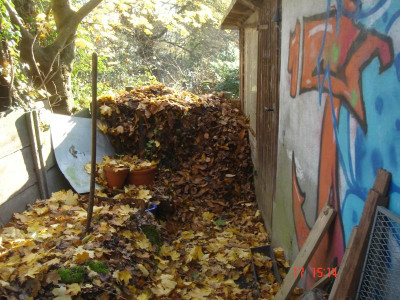 DSC05543.JPG