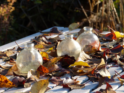 2018-11-17 Gartenimpressionen 1.jpg