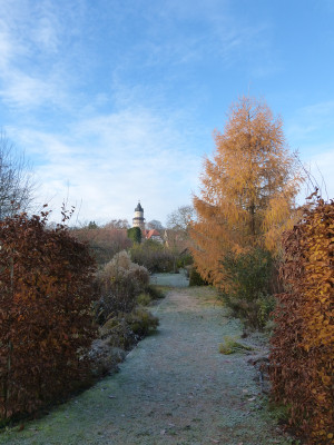 2018-11-18 Garteneinblicke 2.jpg
