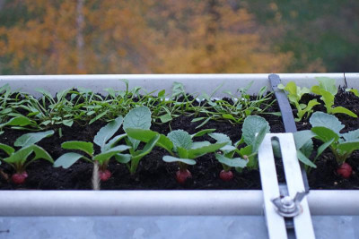 1811_BalkonHerbst.jpg