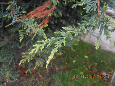 DSCN5623.jpg