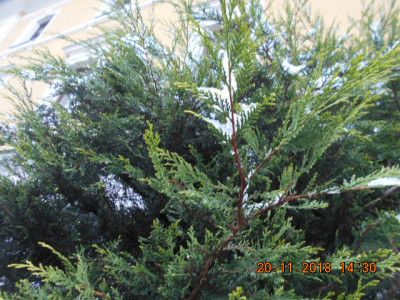 DSCN5618.jpg