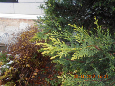 DSCN5621.jpg