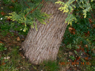 DSCN5624.jpg