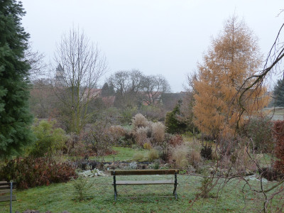 2018-11-24 Garteneinblick 1.jpg