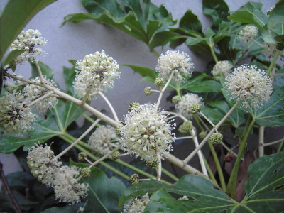 PICT2518.JPG