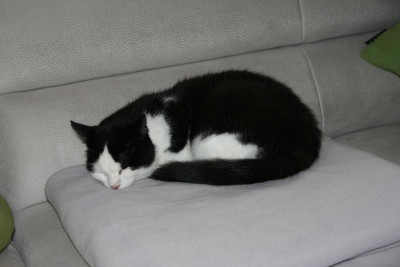 Schnucki1118.jpg