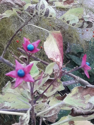 20181105_142701.jpg