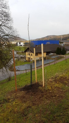 20180331_190334.jpg