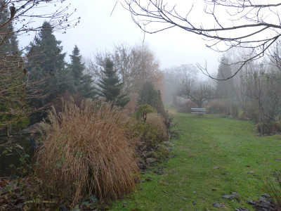 2018-12-01 Gartenimpressionen 1.jpg
