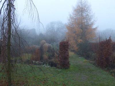 2018-12-01 Gartenimpressionen 2.jpg