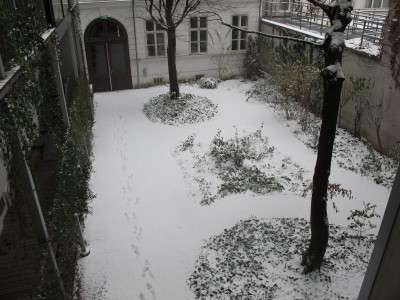 schneehoh.img.JPG
