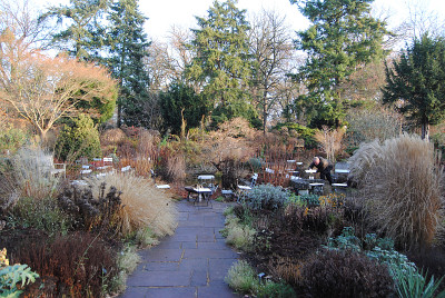 Foerstergarten2018_12_01_02.jpg