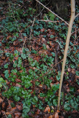 053.JPG