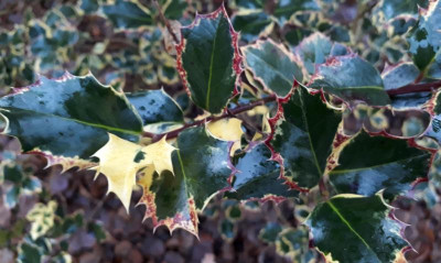 20181204_143156.jpg