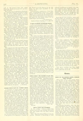 gardening 1894 bis 96.jpg