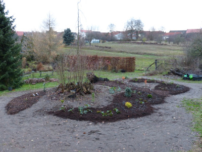 2018-12-09 Birkenhain 2.jpg