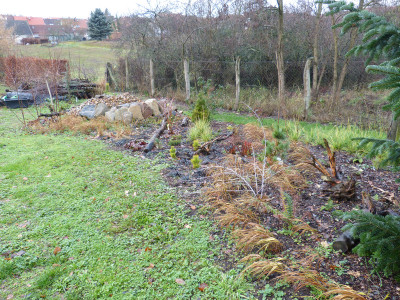 2018-12-09 Birkenhain 7.jpg