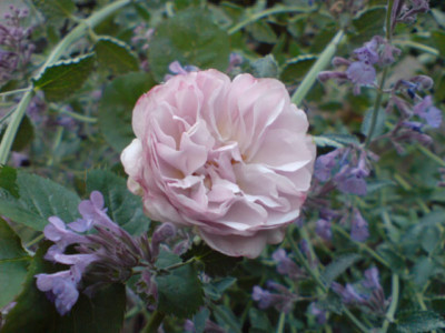 florence_delattre1_07.JPG
