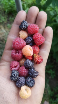 20180620_191303.jpg