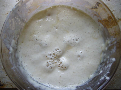Sauerteig 1.JPG