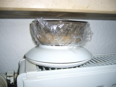 Sauerteig 2.JPG