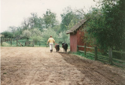 1994-05-01 Garten2.jpg