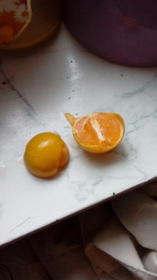 20181215_150213.jpg
