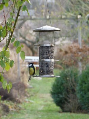 2018-12-16 Gartenimpressionen 2.jpg