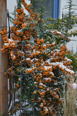 DSC_7340.JPG