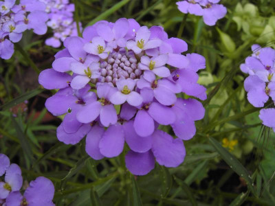 PICT9176.JPG